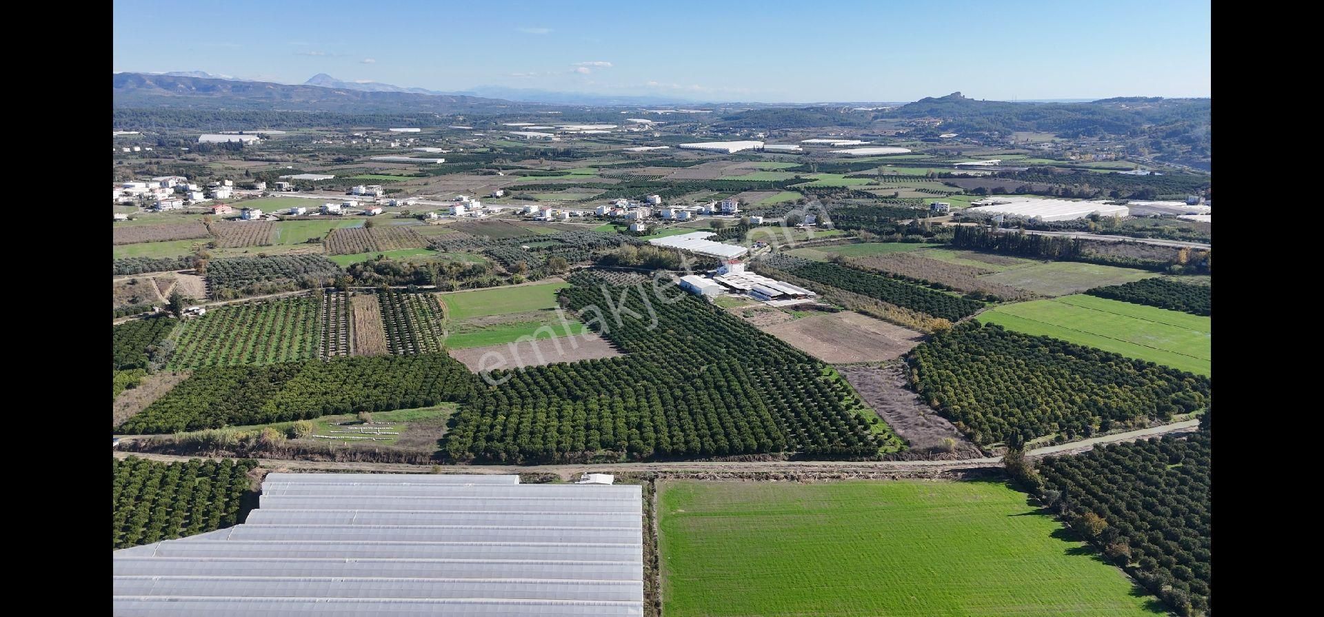 Taşağıl'da Geleceğe Altın Bir Yatırım Satılık 18 Dönüm Portakal Bahçesi - Görsel 18