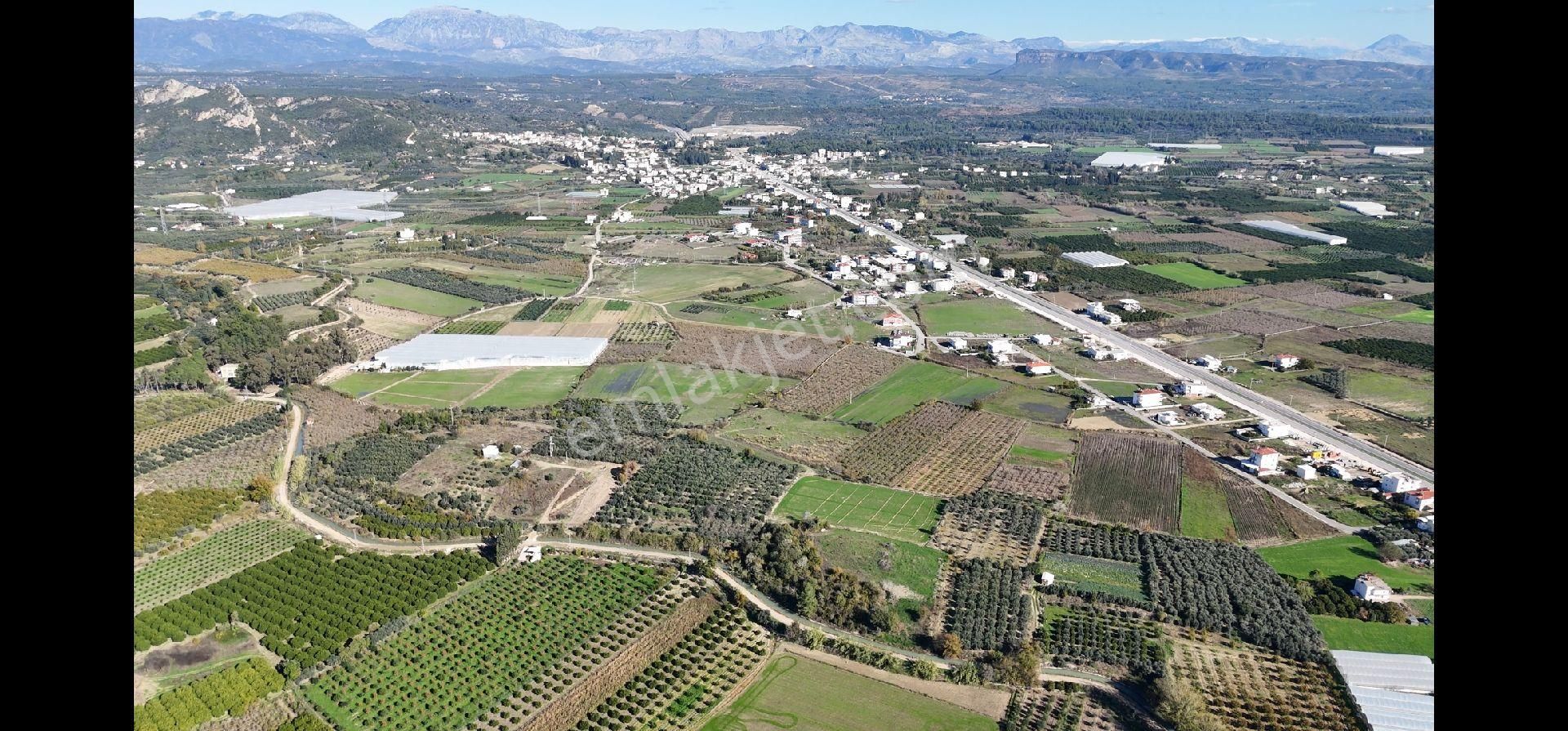 Taşağıl'da Geleceğe Altın Bir Yatırım Satılık 18 Dönüm Portakal Bahçesi - Görsel 3