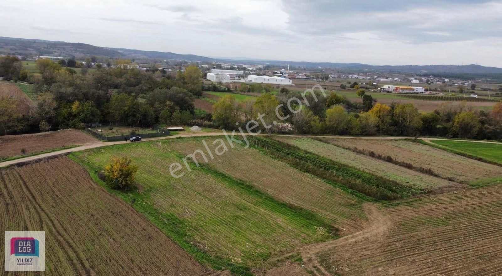 Dialog Yıldız / Mudanya Balabancık Köyü Satılık Yola Cephe Tarla - Görsel 5