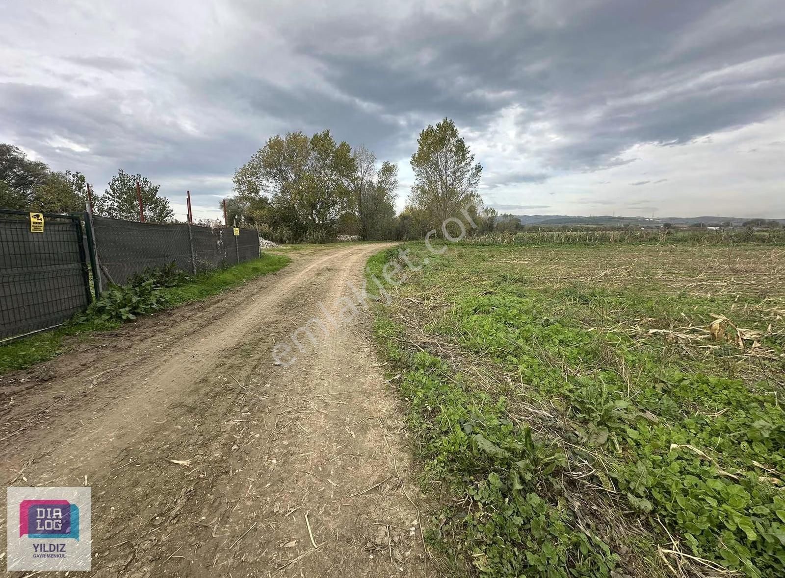 Dialog Yıldız / Mudanya Balabancık Köyü Satılık Yola Cephe Tarla - Görsel 9