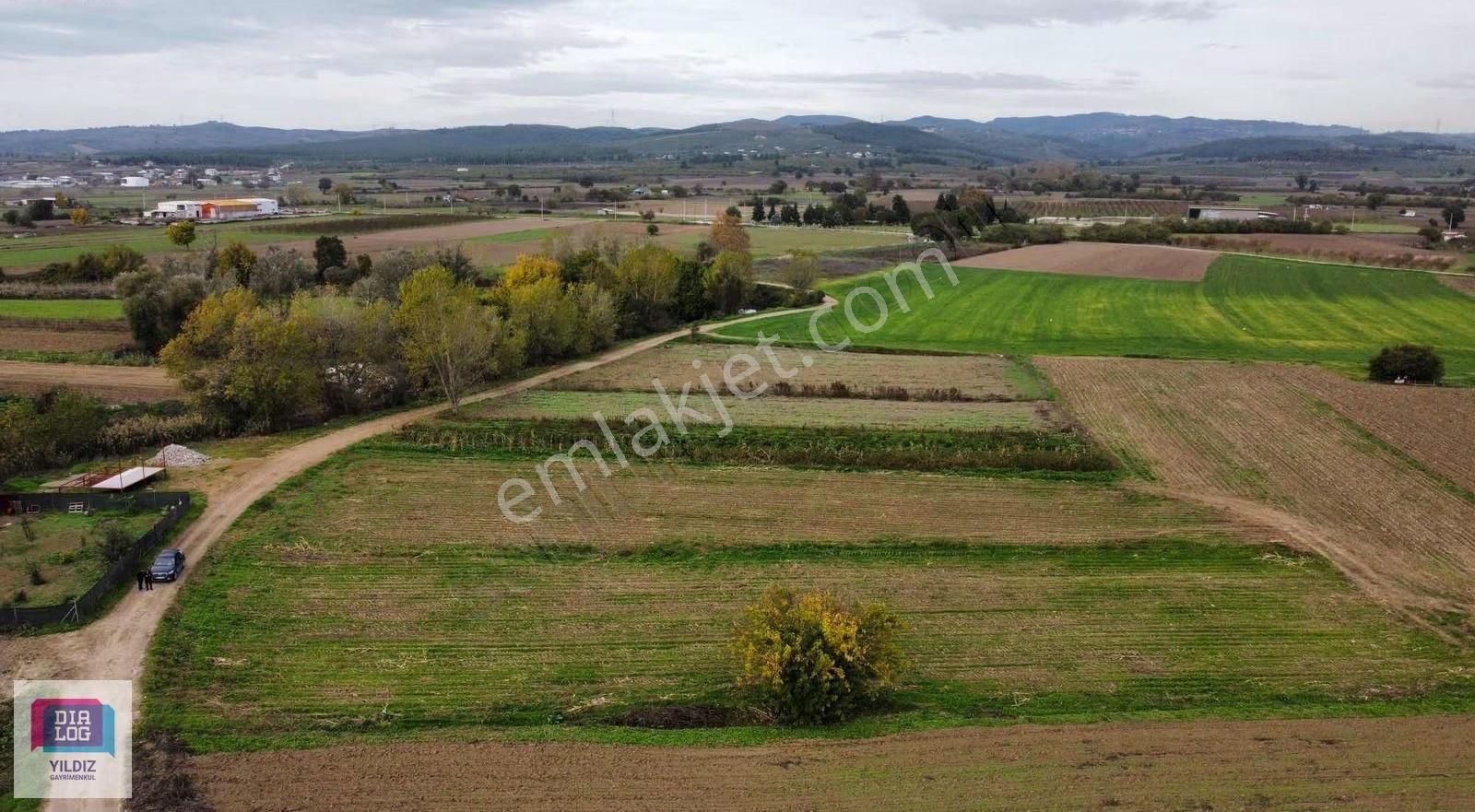 Dialog Yıldız / Mudanya Balabancık Köyü Satılık Yola Cephe Tarla - Görsel 3