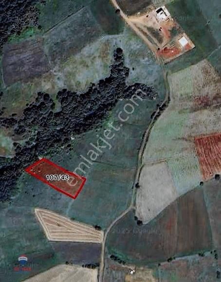 Re/max Eda 'dan Ana Yola Yakın Fırsat Tarla