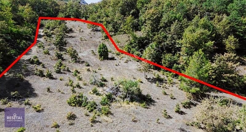 Yol,elektrik Su Dibinde! 8.000 M² Kaçırılmayacak Fırsat - Görsel 18