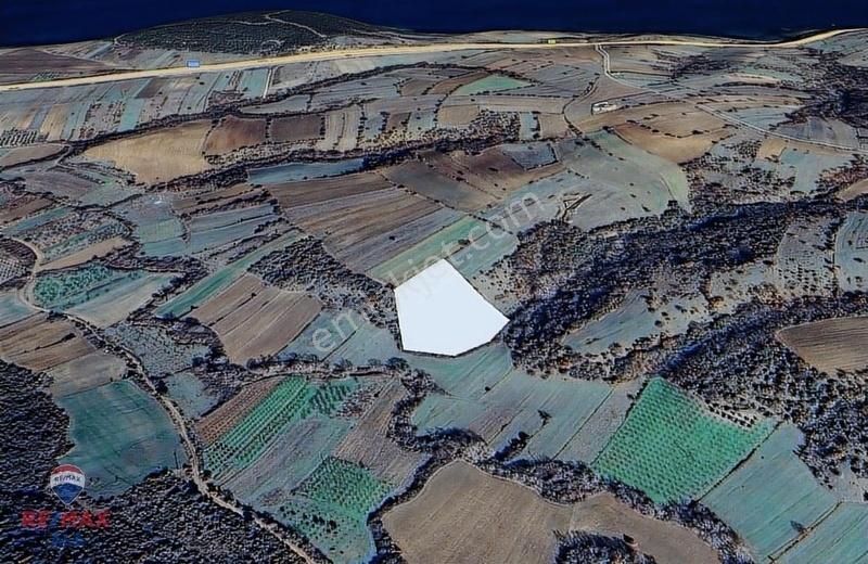 Remax Aladan Çanakkale Lapsekide Satılık Deniz Manzaralı Arsa - Görsel 3