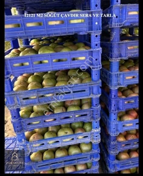 Satılık Aktif Sera! Burdur Çavdır Söğüt - Görsel 8