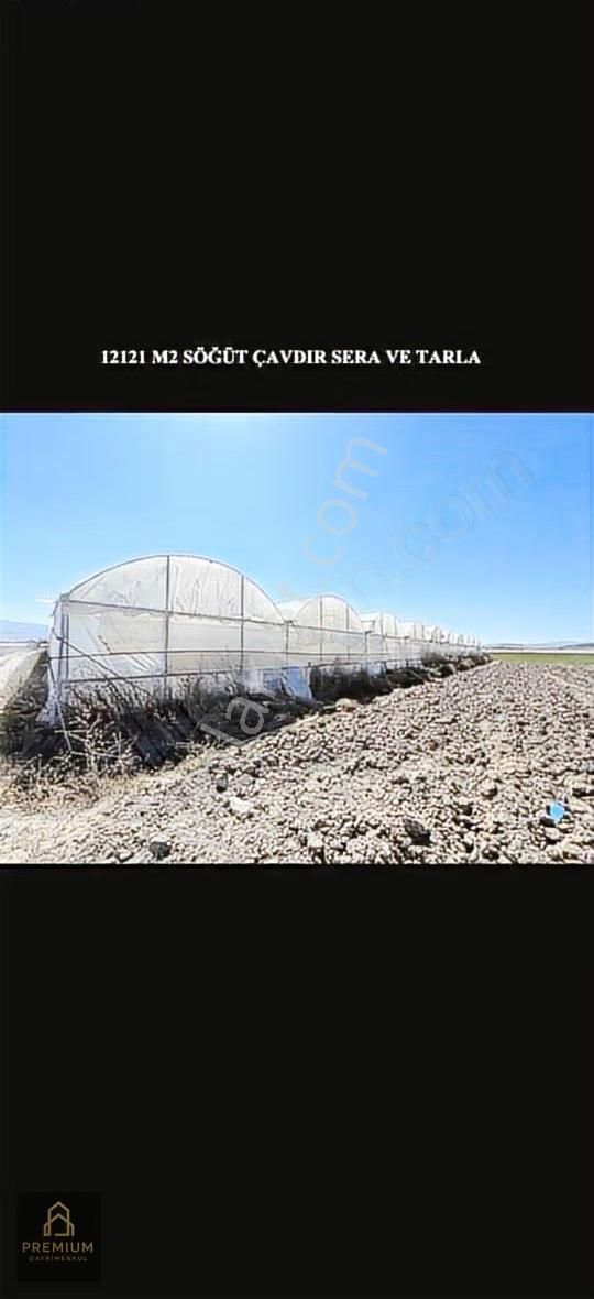 Satılık Aktif Sera! Burdur Çavdır Söğüt - Görsel 3
