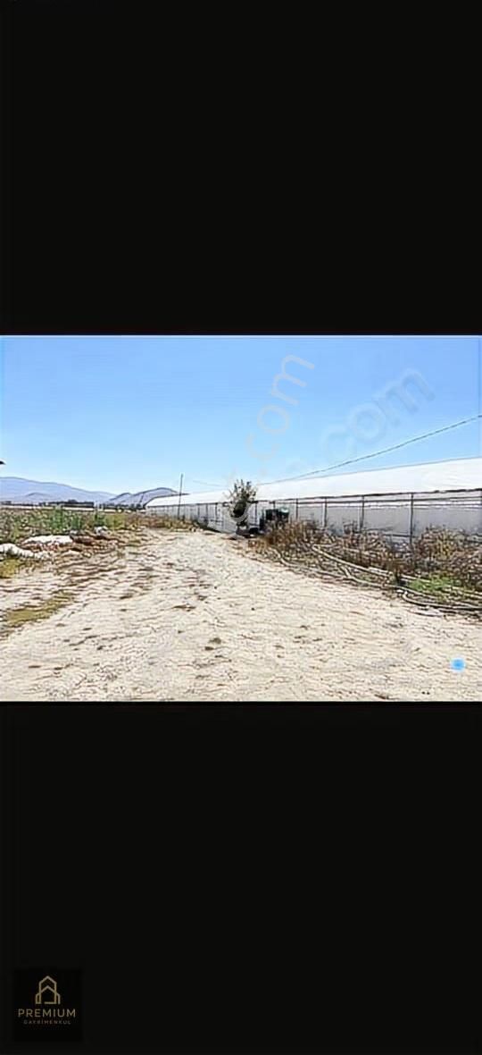 Satılık Aktif Sera! Burdur Çavdır Söğüt - Görsel 4