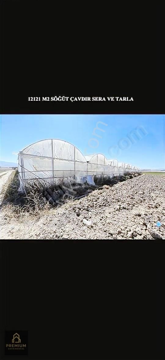 Satılık Aktif Sera! Burdur Çavdır Söğüt - Görsel 11