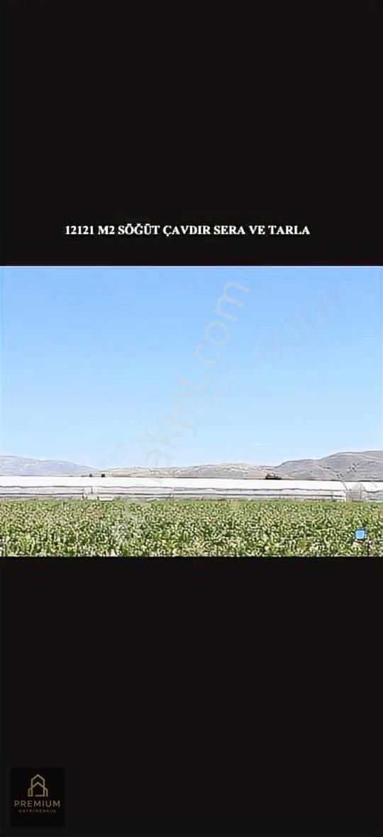 Satılık Aktif Sera! Burdur Çavdır Söğüt - Görsel 9
