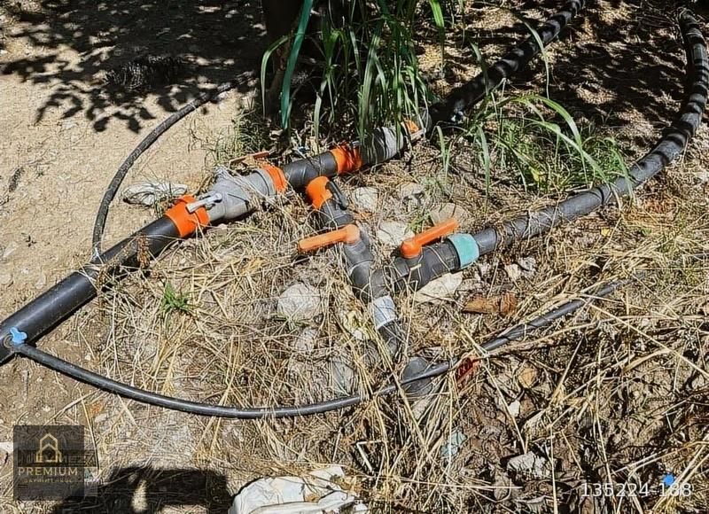 Çeltikçi Barajına 500 Mt Satılık Meyve Bahçesi Burdur Çeltikçi - Görsel 4