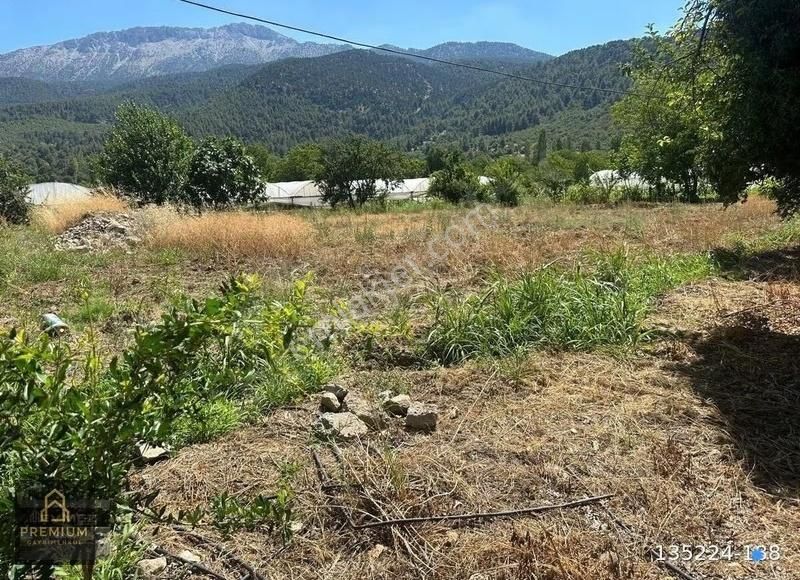 Çeltikçi Barajına 500 Mt Satılık Meyve Bahçesi Burdur Çeltikçi - Görsel 3