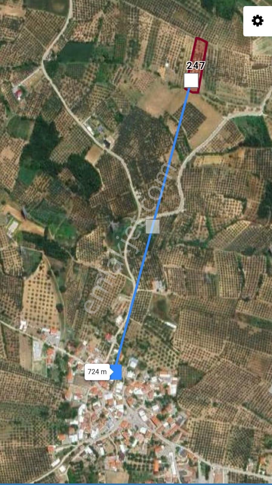 Bursa Mudanya Mürsel'de Satılık Zeytinlik - Görsel 11