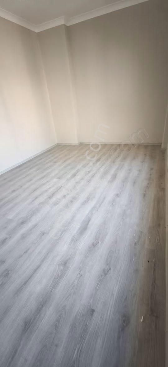 5+1 Geniş Daire - Görsel 4