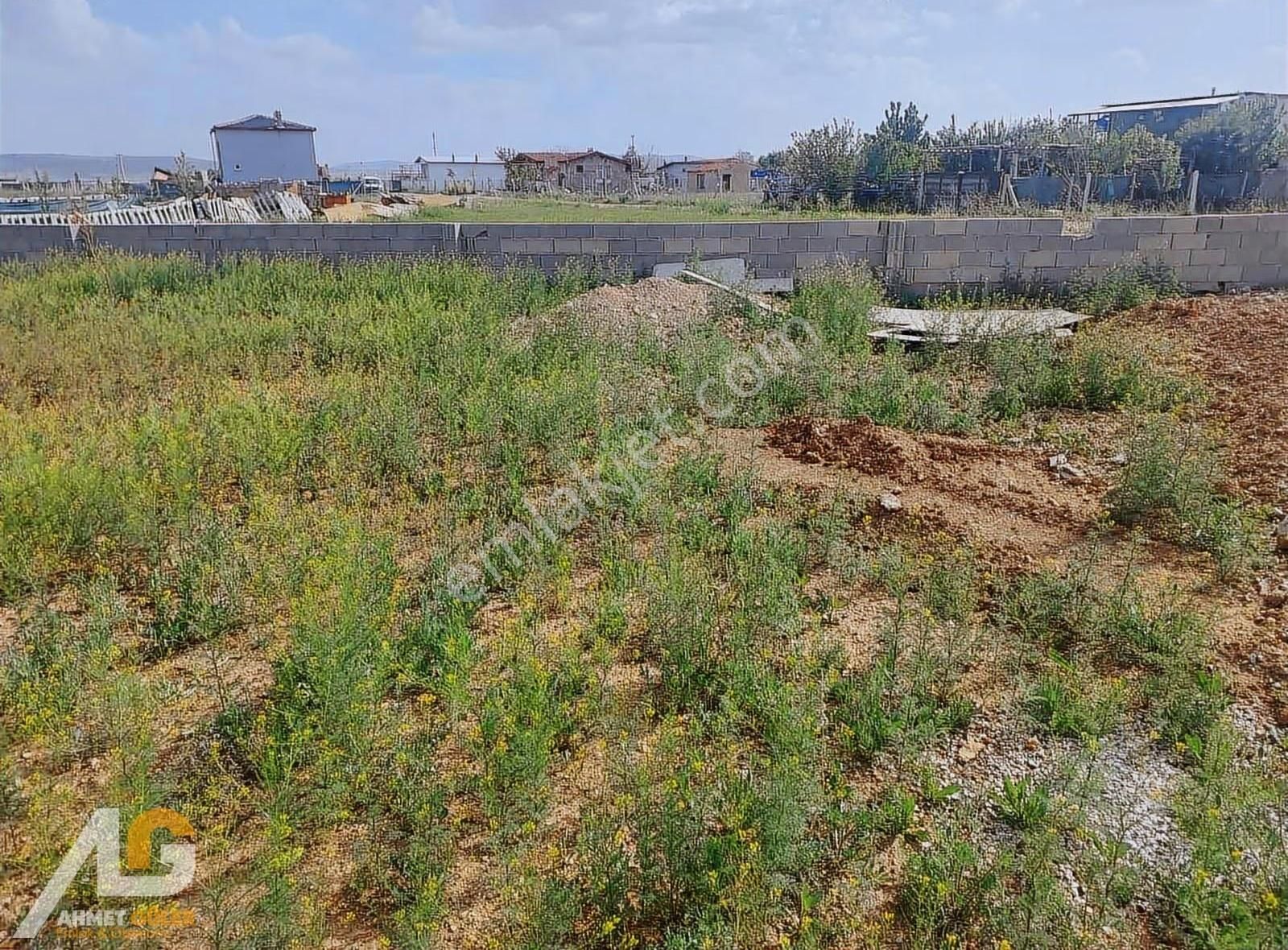 Meram Gödene De Satılık 750 M2 Bahçe - Görsel 6