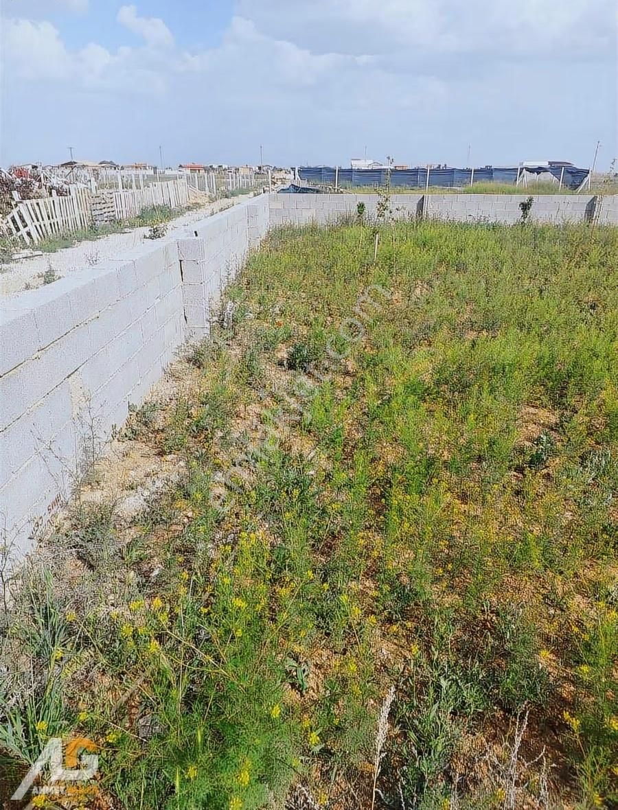 Meram Gödene De Satılık 750 M2 Bahçe - Görsel 9
