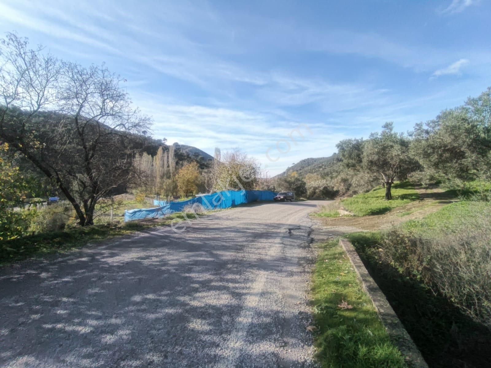 Golden Globy, Burhaniye-karadere Ana Yol Üzerinde ​satılık 2.214 M2 Hobi Bahçesi - Görsel 10