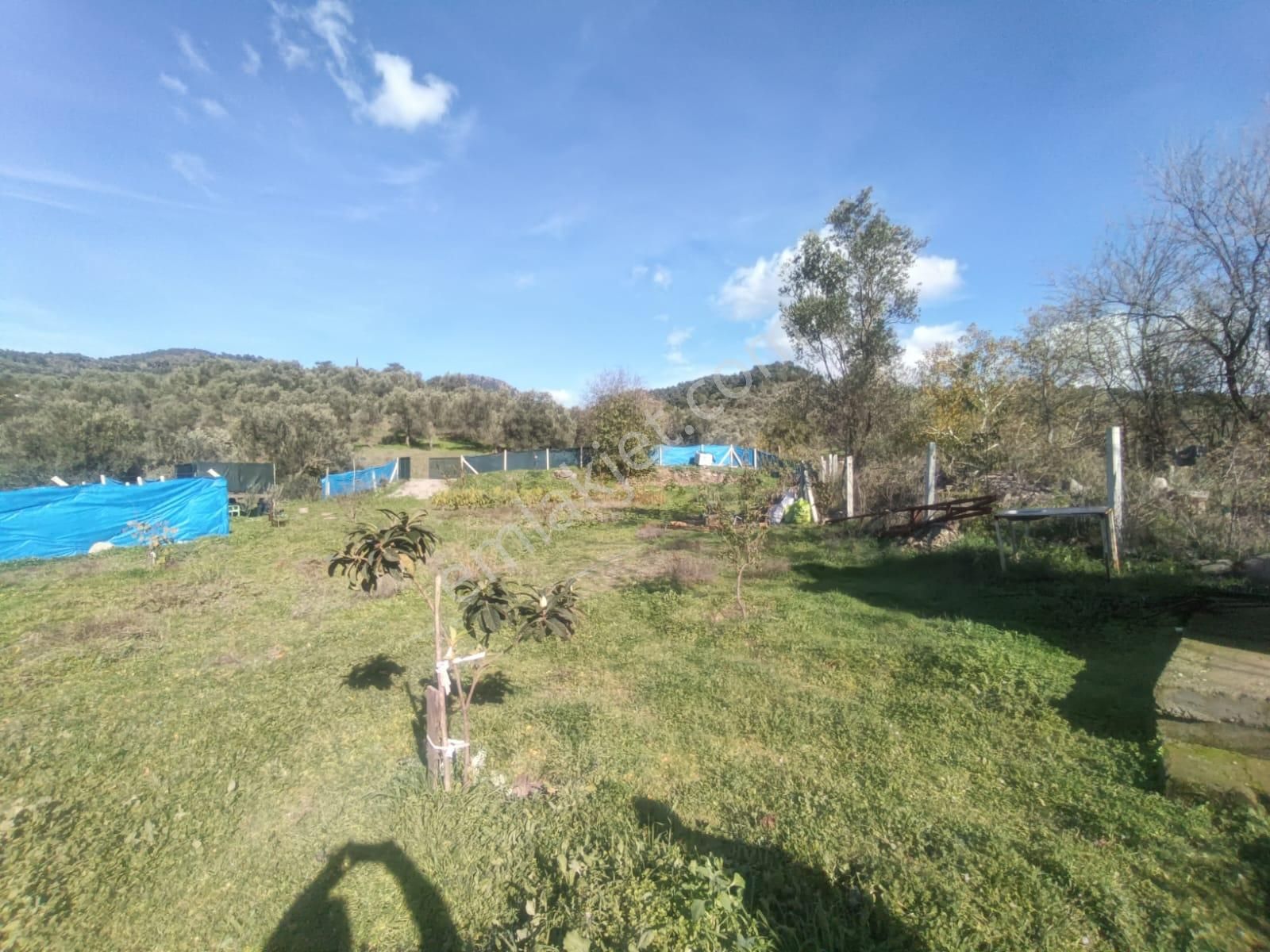 Golden Globy, Burhaniye-karadere Ana Yol Üzerinde ​satılık 2.214 M2 Hobi Bahçesi - Görsel 30