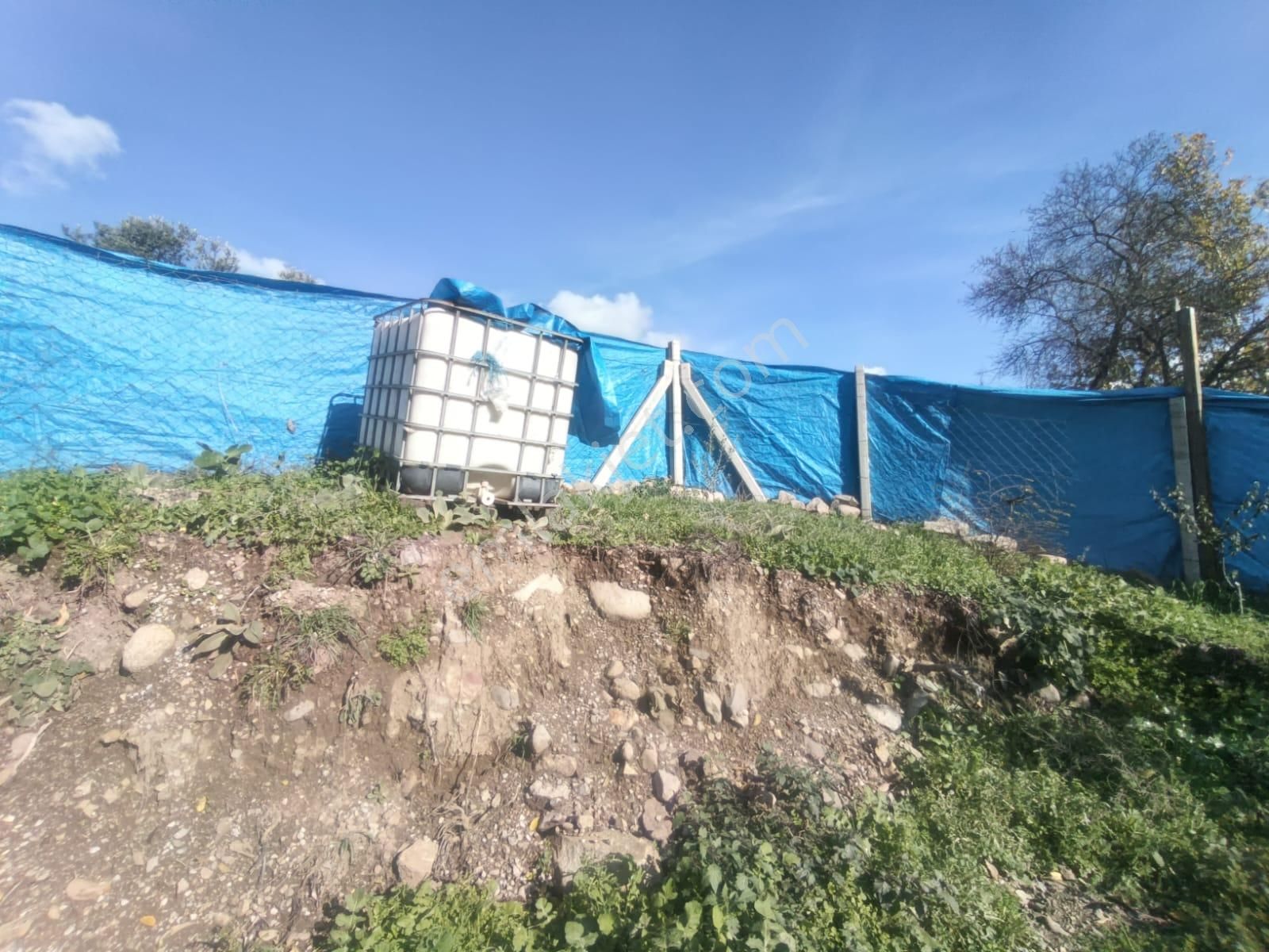 Golden Globy, Burhaniye-karadere Ana Yol Üzerinde ​satılık 2.214 M2 Hobi Bahçesi - Görsel 14