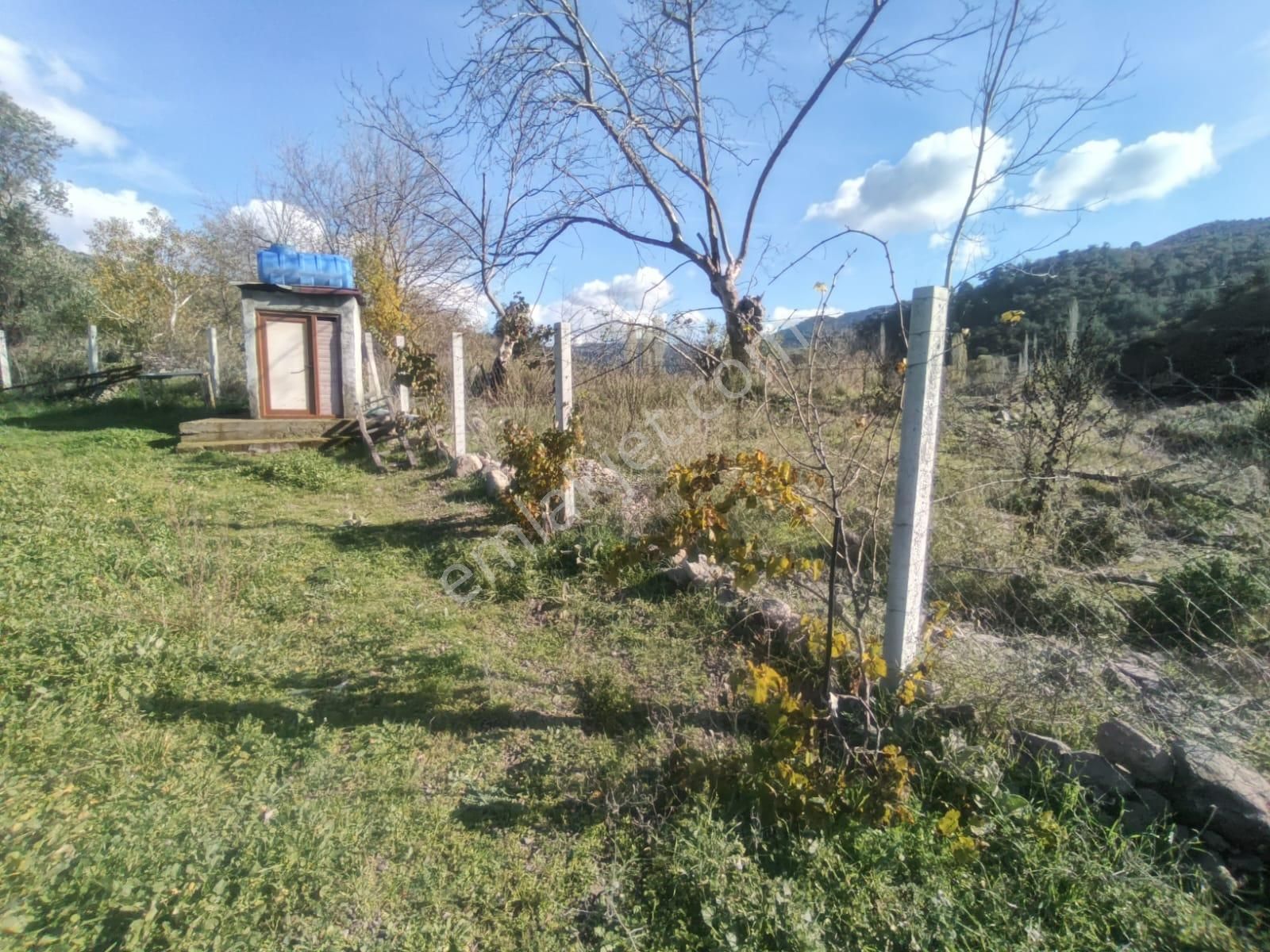 Golden Globy, Burhaniye-karadere Ana Yol Üzerinde ​satılık 2.214 M2 Hobi Bahçesi - Görsel 20