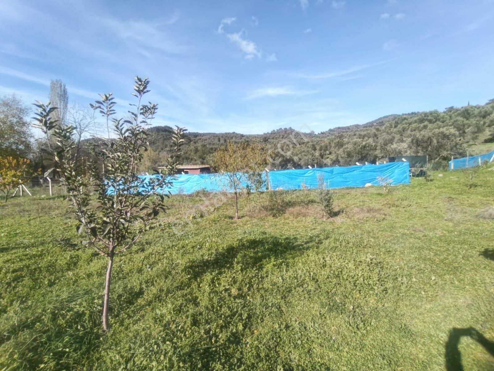 Golden Globy, Burhaniye-karadere Ana Yol Üzerinde ​satılık 2.214 M2 Hobi Bahçesi - Görsel 29