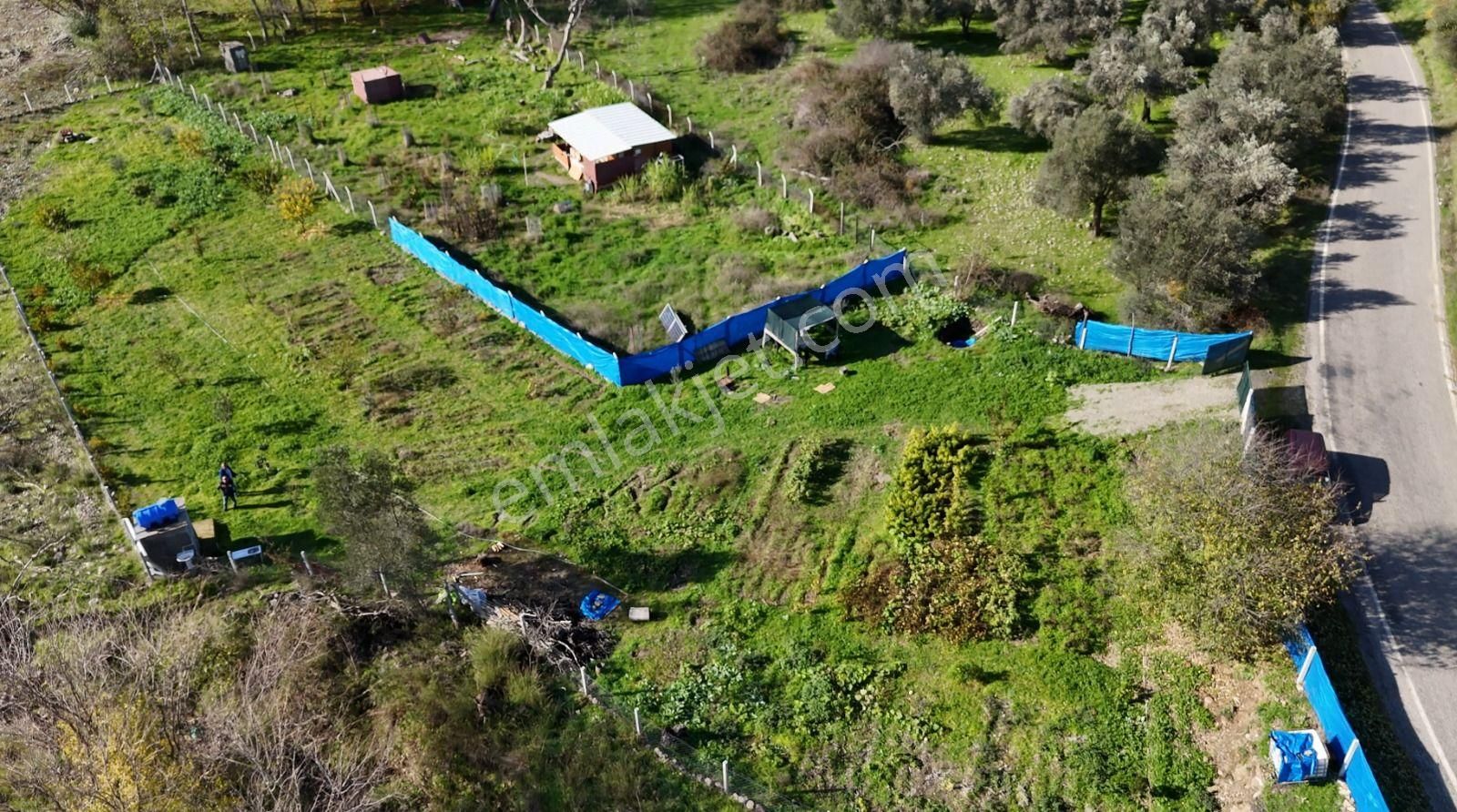 Golden Globy, Burhaniye-karadere Ana Yol Üzerinde ​satılık 2.214 M2 Hobi Bahçesi - Görsel 2