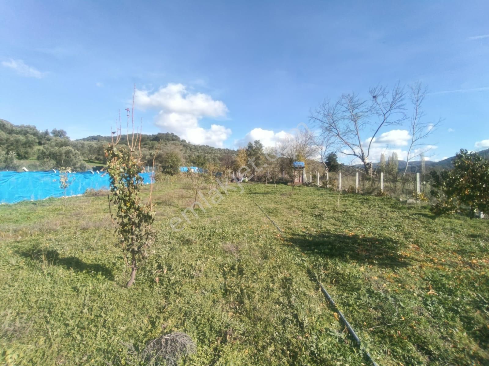 Golden Globy, Burhaniye-karadere Ana Yol Üzerinde ​satılık 2.214 M2 Hobi Bahçesi - Görsel 26