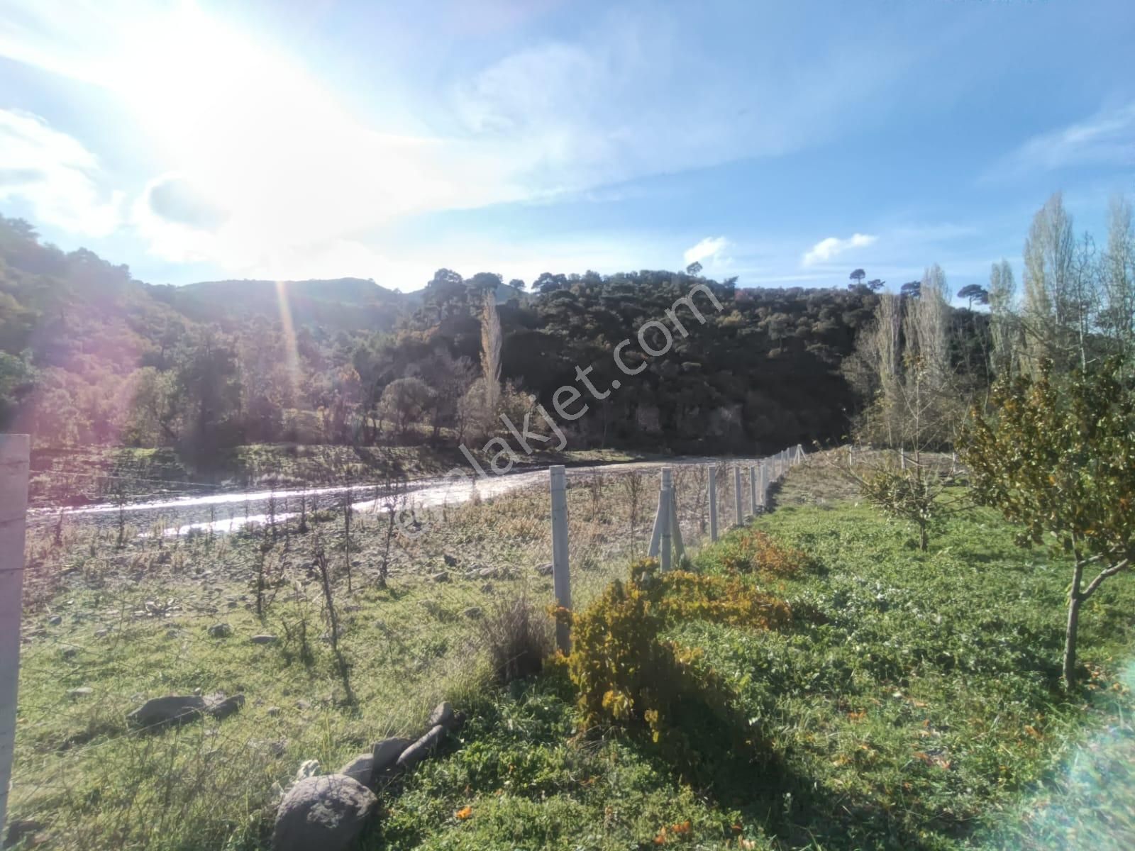 Golden Globy, Burhaniye-karadere Ana Yol Üzerinde ​satılık 2.214 M2 Hobi Bahçesi - Görsel 28