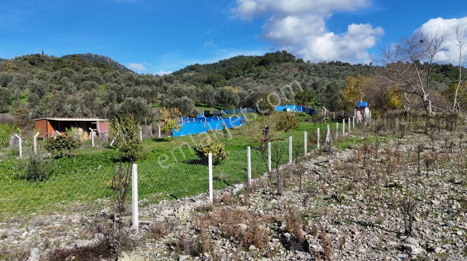 Golden Globy, Burhaniye-karadere Ana Yol Üzerinde ​satılık 2.214 M2 Hobi Bahçesi - Görsel 35