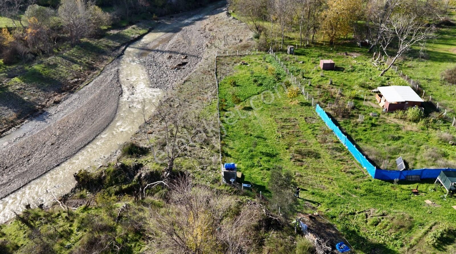 Golden Globy, Burhaniye-karadere Ana Yol Üzerinde ​satılık 2.214 M2 Hobi Bahçesi - Görsel 4