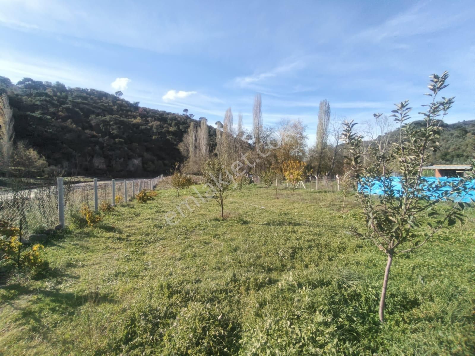 Golden Globy, Burhaniye-karadere Ana Yol Üzerinde ​satılık 2.214 M2 Hobi Bahçesi - Görsel 31