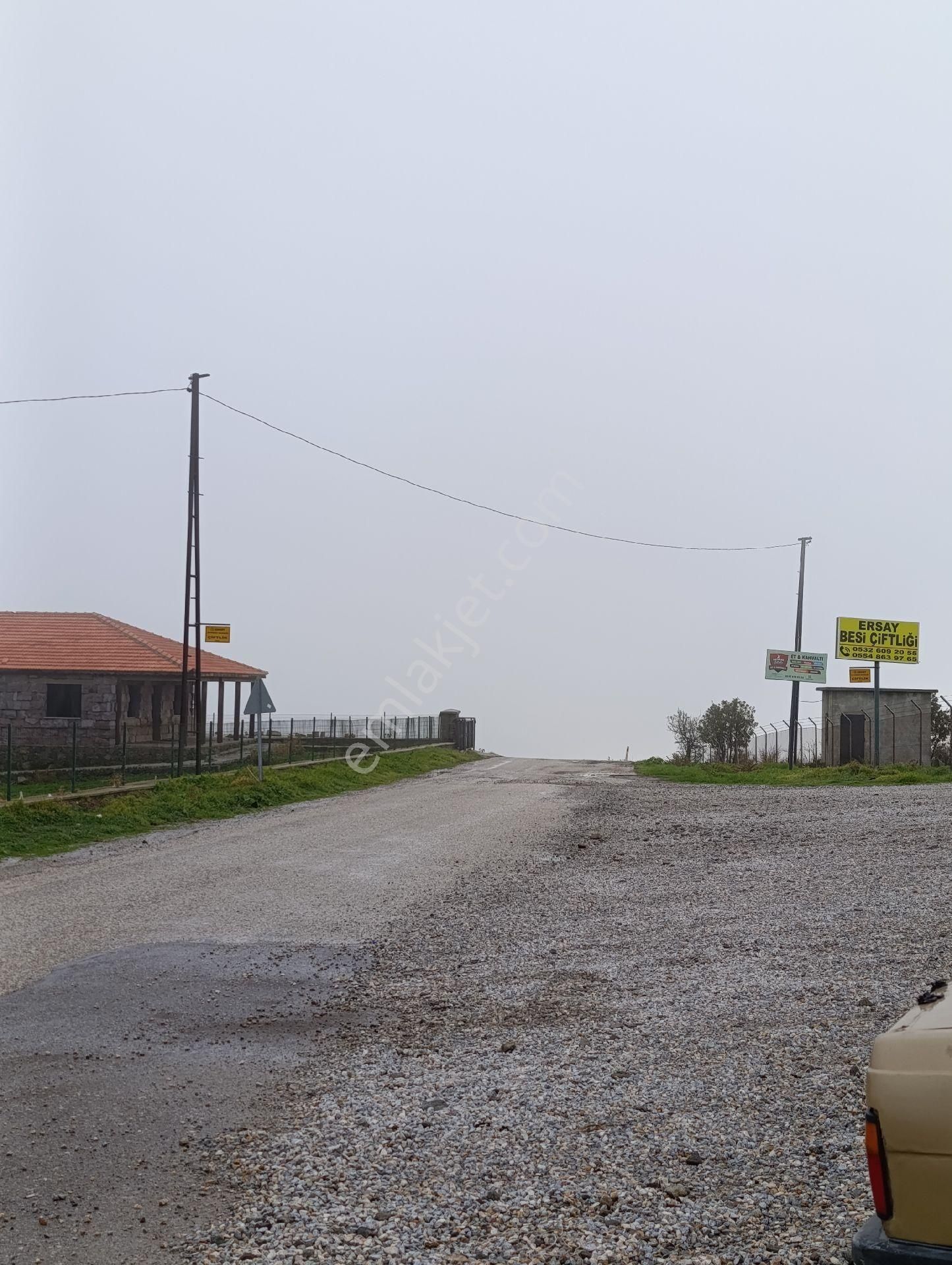Bozalan Köyünde Satılık Müstakil Tapulu Zeytinlik