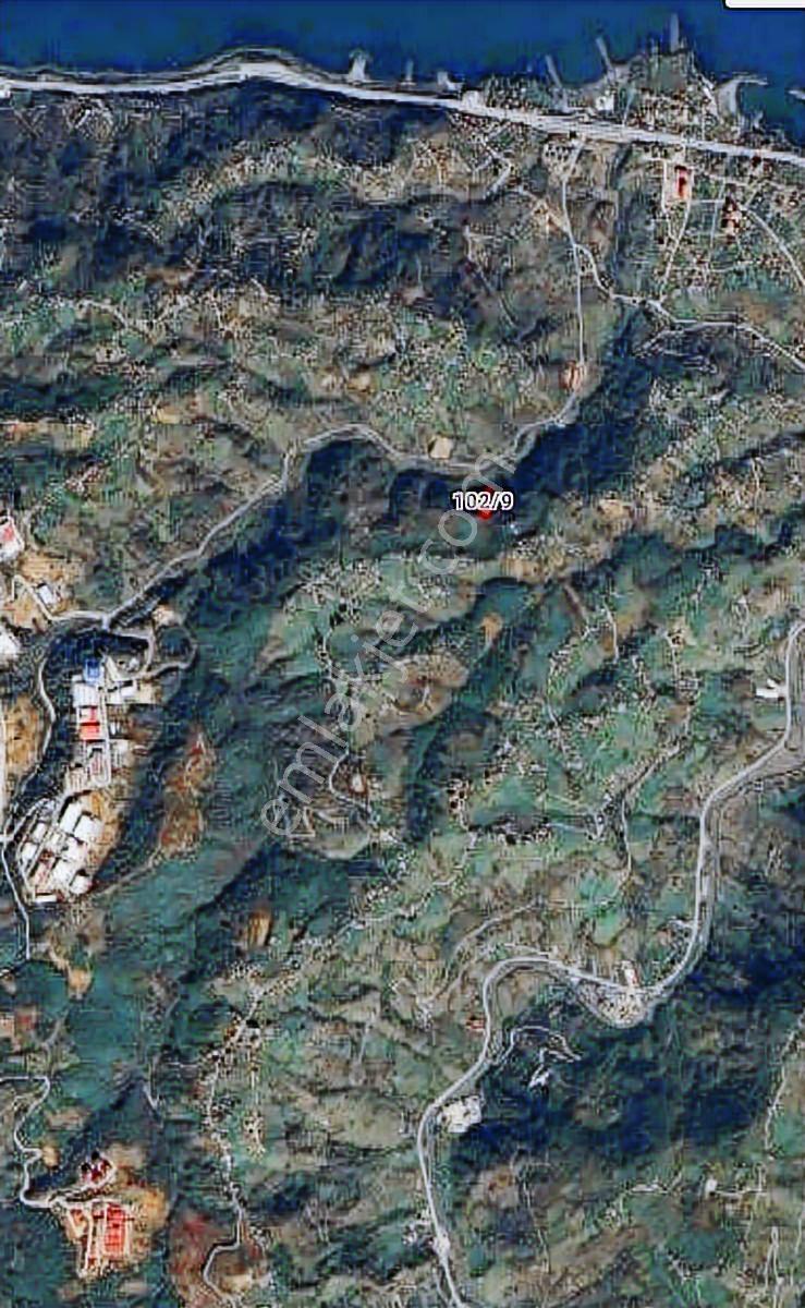 Özgür Emlaktan Harika Konumda Arazi Fındıklık - Görsel 3