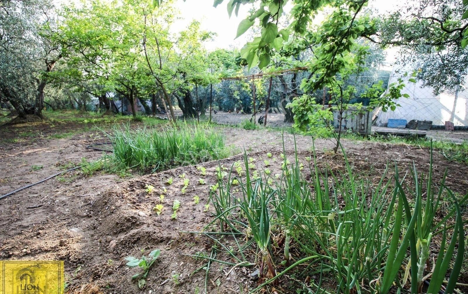 🟨⬛lıon Emlak'tan Erdek Halitpaşa'da Caddeye Yakın Doğa İle İç İçe 160m² Satılık Müstakil Ev⬛🟨 - Görsel 11