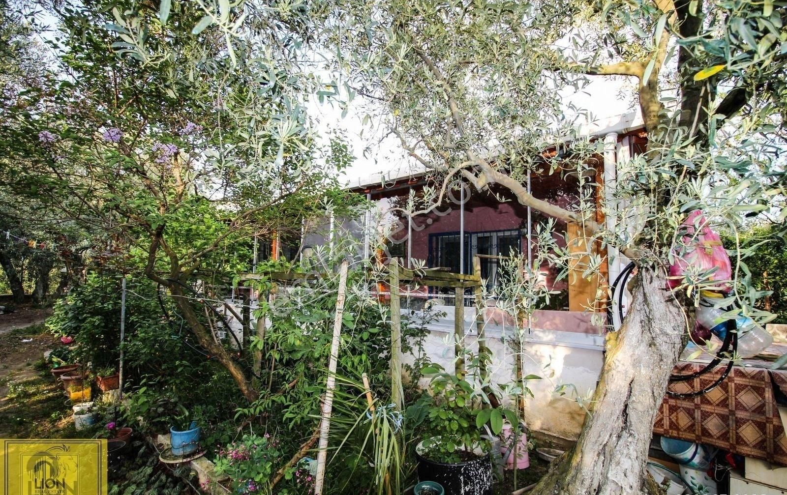 🟨⬛lıon Emlak'tan Erdek Halitpaşa'da Caddeye Yakın Doğa İle İç İçe 160m² Satılık Müstakil Ev⬛🟨 - Görsel 4