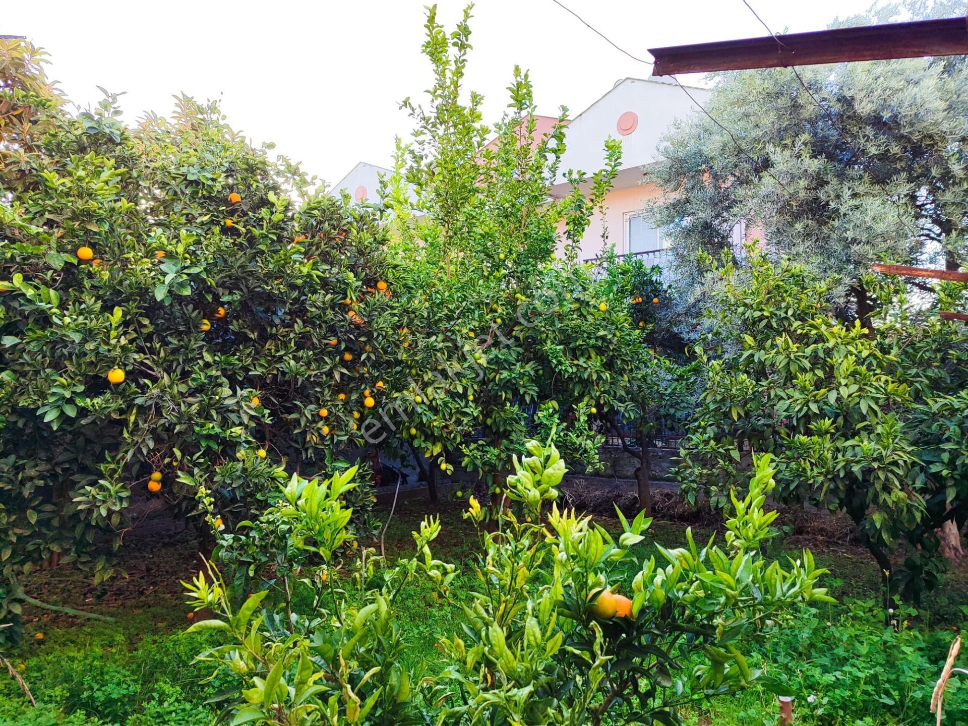 Akdeniz Emlakta Akarca Mh Satılık Müstakil Villa - Görsel 8