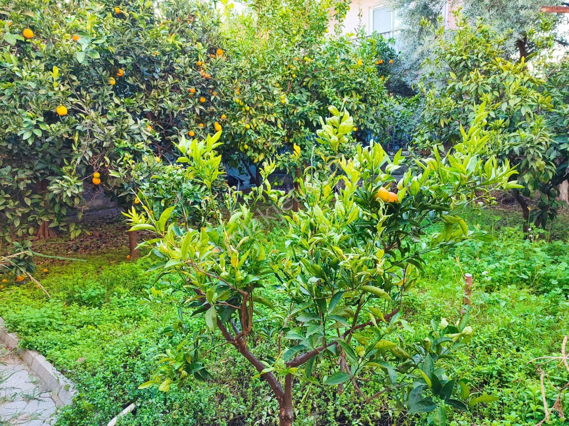 Akdeniz Emlakta Akarca Mh Satılık Müstakil Villa - Görsel 7