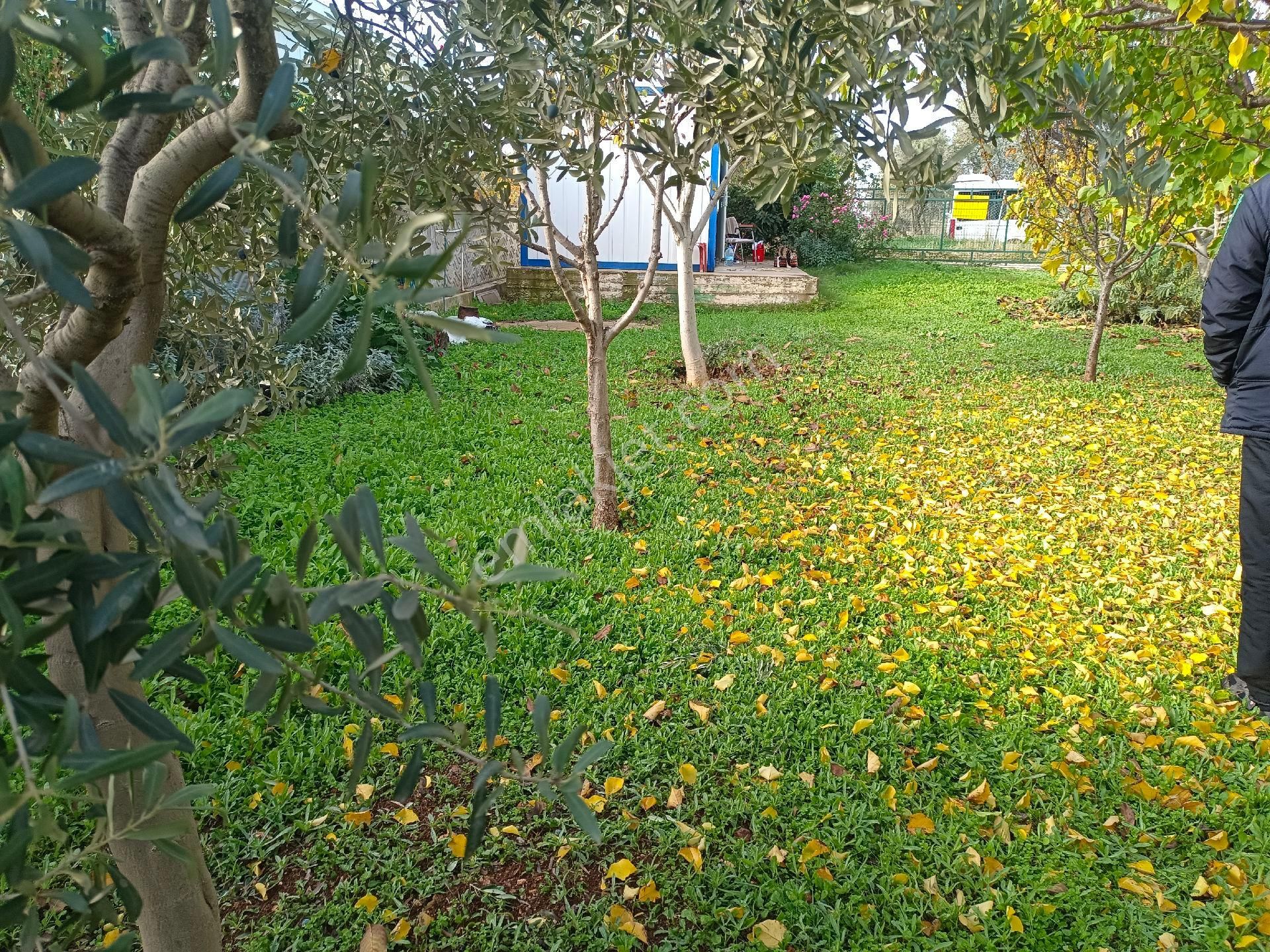 Meşelik Site Satılık - Görsel 10