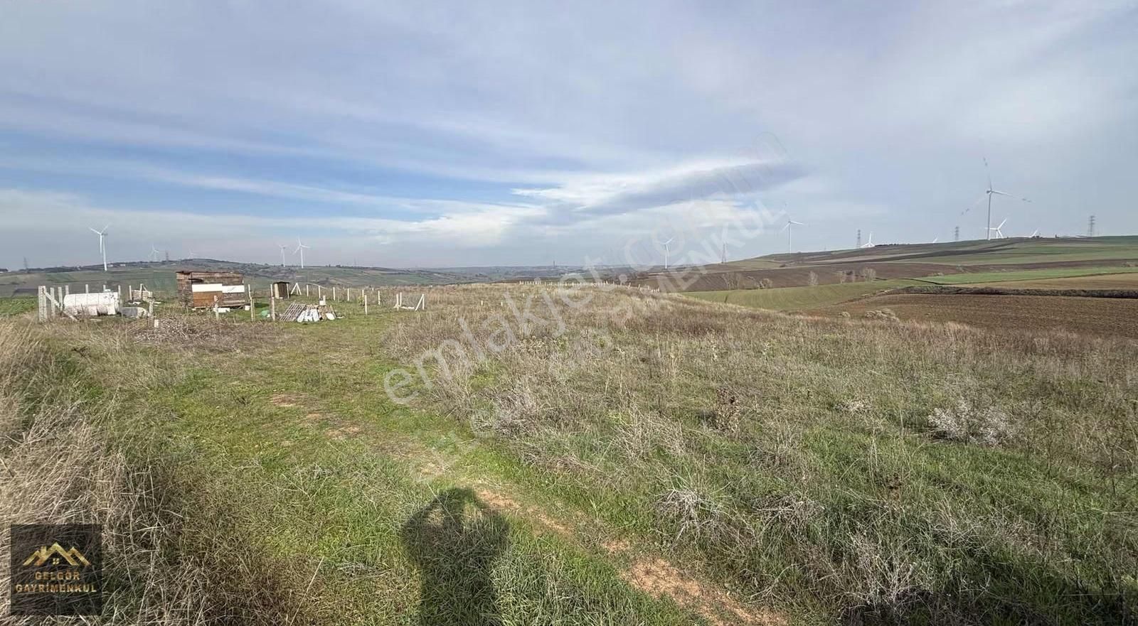 Silivri Fenerköy Yola Cephe 263m2 Köye Yakın Acil Satılık Tarla