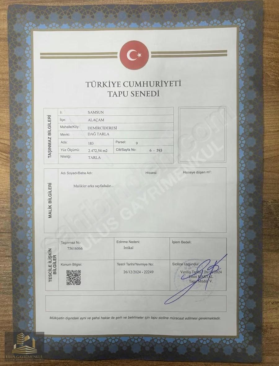 Ulus'tan Alaçam Demırcıderesı 2472 M2 Tek Tapu Tarla