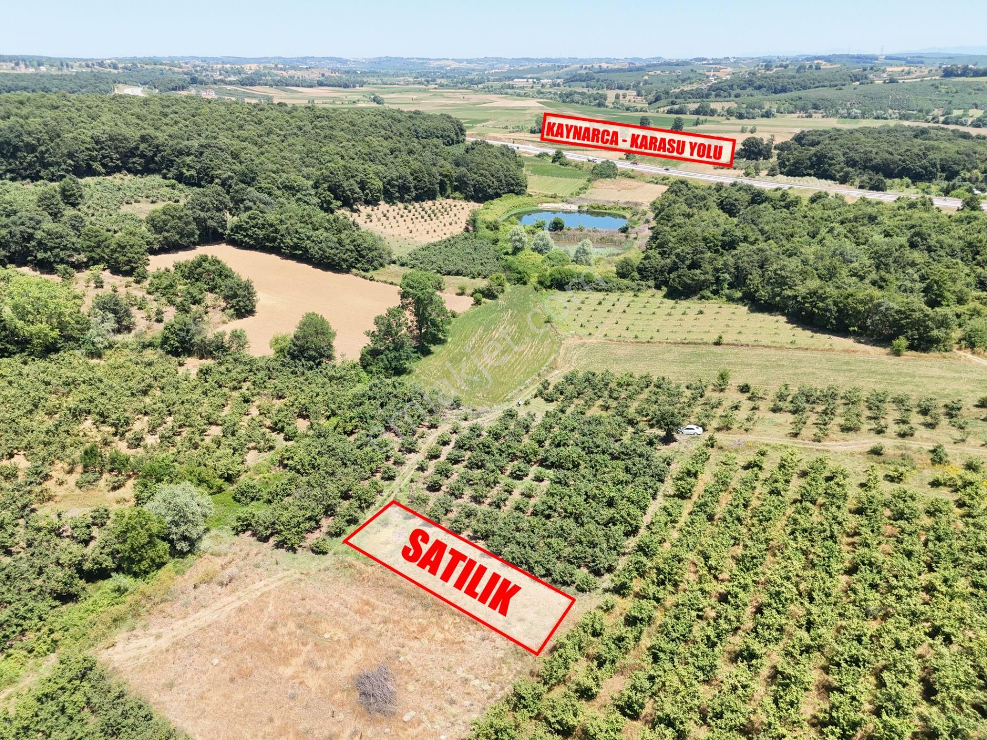 Emlak Evim - Kayacık Köyünün Yanında 350 M2 Tarla - Görsel 9