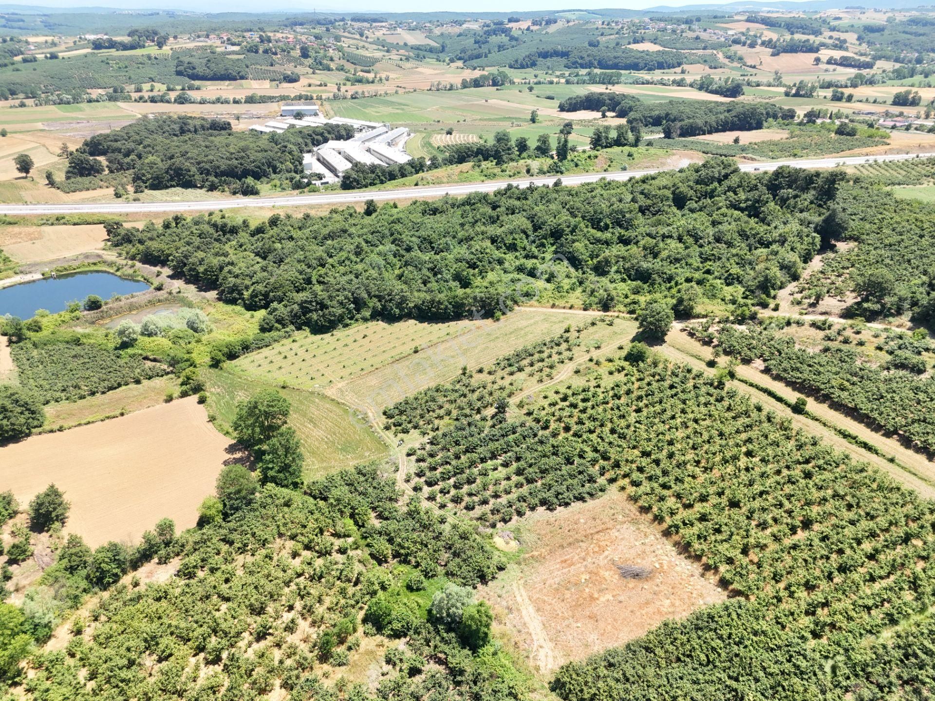 Emlak Evim - Kayacık Köyünün Yanında 350 M2 Tarla - Görsel 22