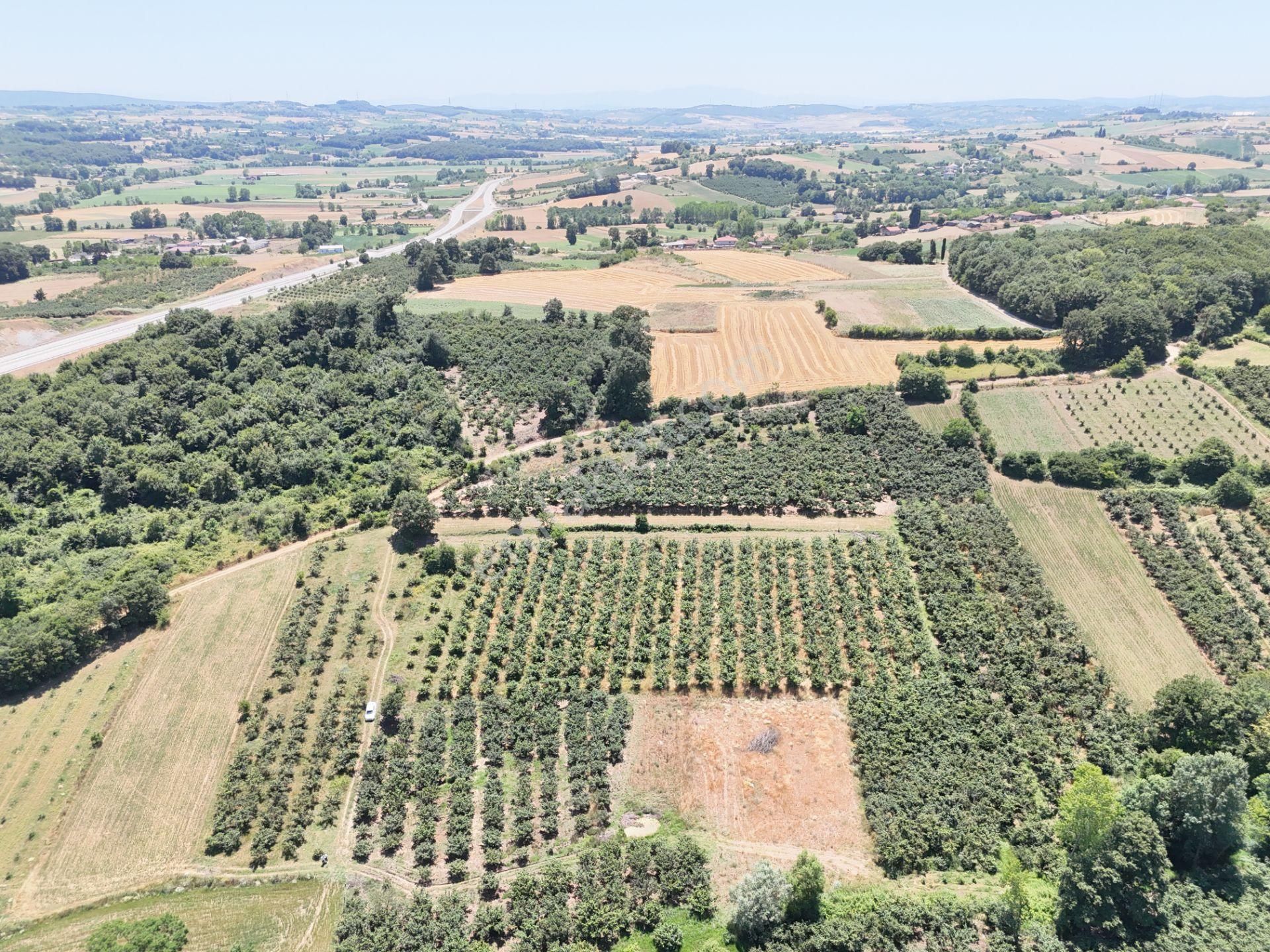 Emlak Evim - Kayacık Köyünün Yanında 350 M2 Tarla - Görsel 19