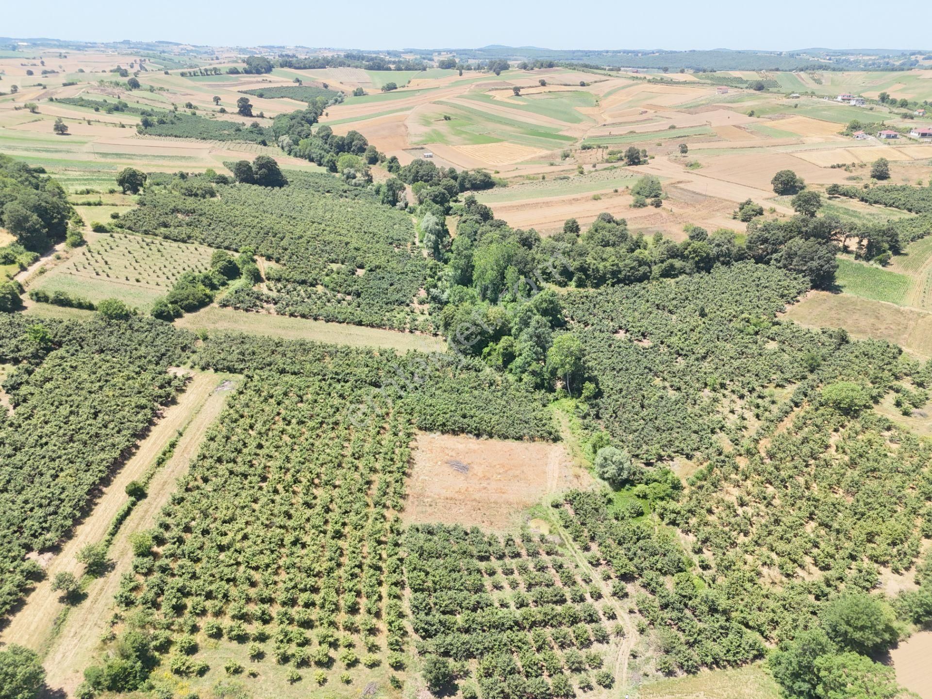 Emlak Evim - Kayacık Köyünün Yanında 350 M2 Tarla - Görsel 29