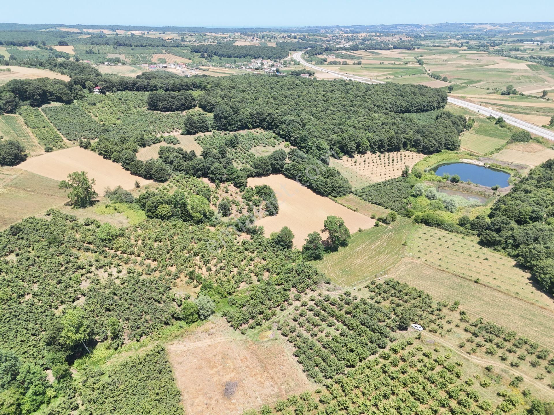 Emlak Evim - Kayacık Köyünün Yanında 350 M2 Tarla - Görsel 26