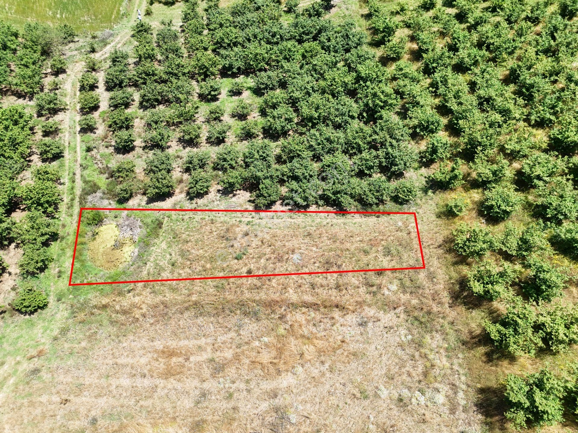 Emlak Evim - Kayacık Köyünün Yanında 350 M2 Tarla - Görsel 16