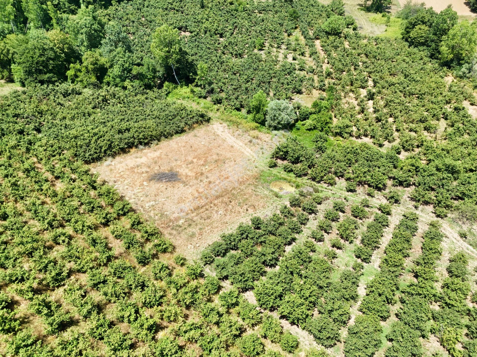 Emlak Evim - Kayacık Köyünün Yanında 350 M2 Tarla - Görsel 11