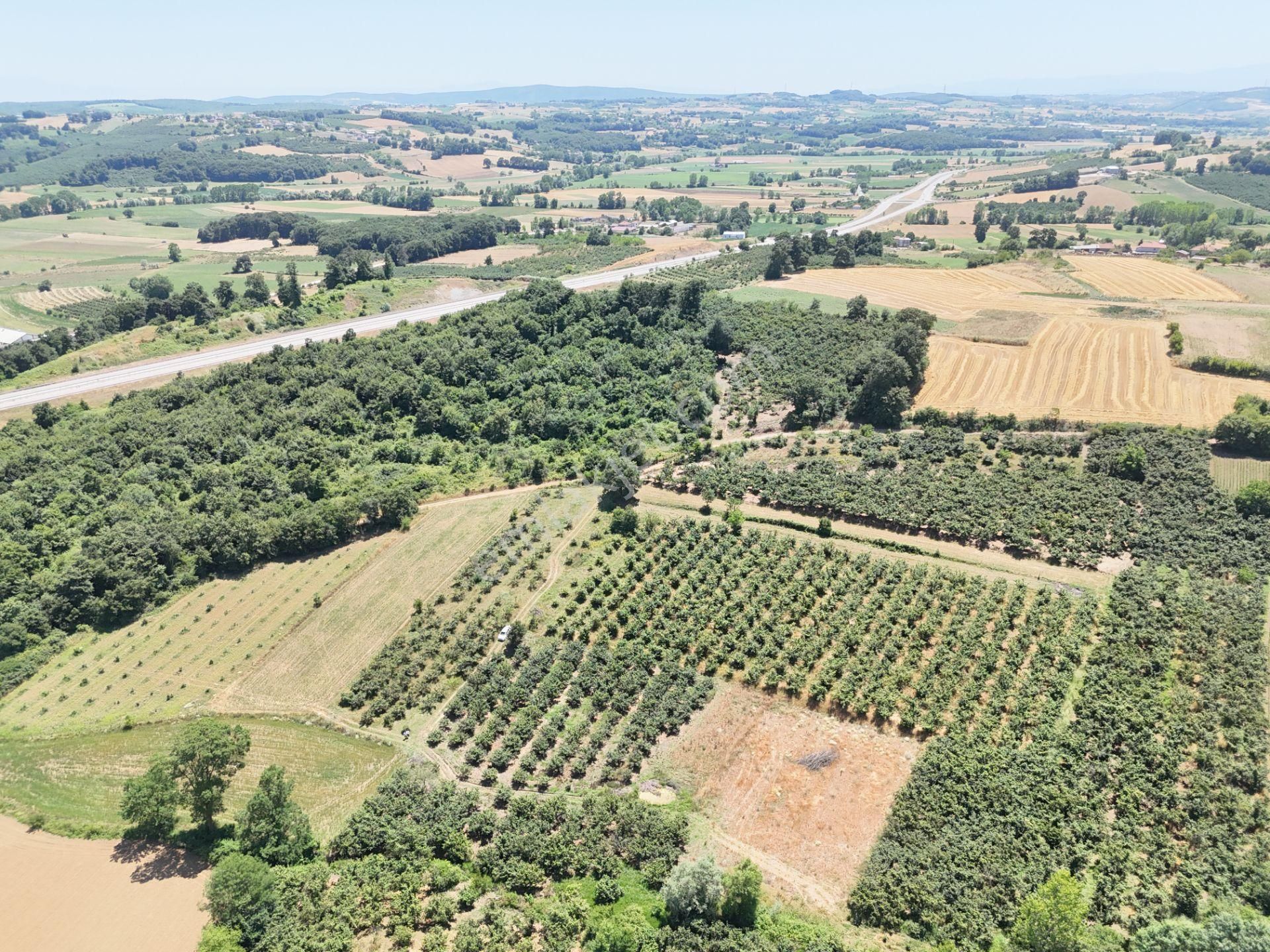 Emlak Evim - Kayacık Köyünün Yanında 350 M2 Tarla - Görsel 21