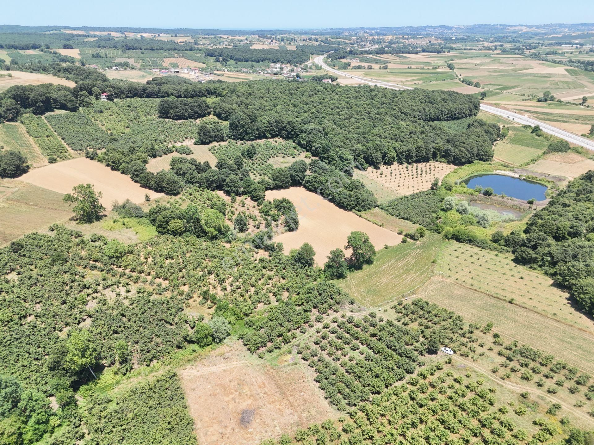 Emlak Evim - Kayacık Köyünün Yanında 350 M2 Tarla - Görsel 25