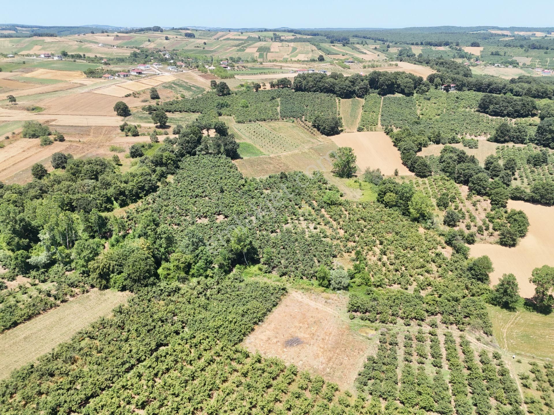Emlak Evim - Kayacık Köyünün Yanında 350 M2 Tarla - Görsel 27