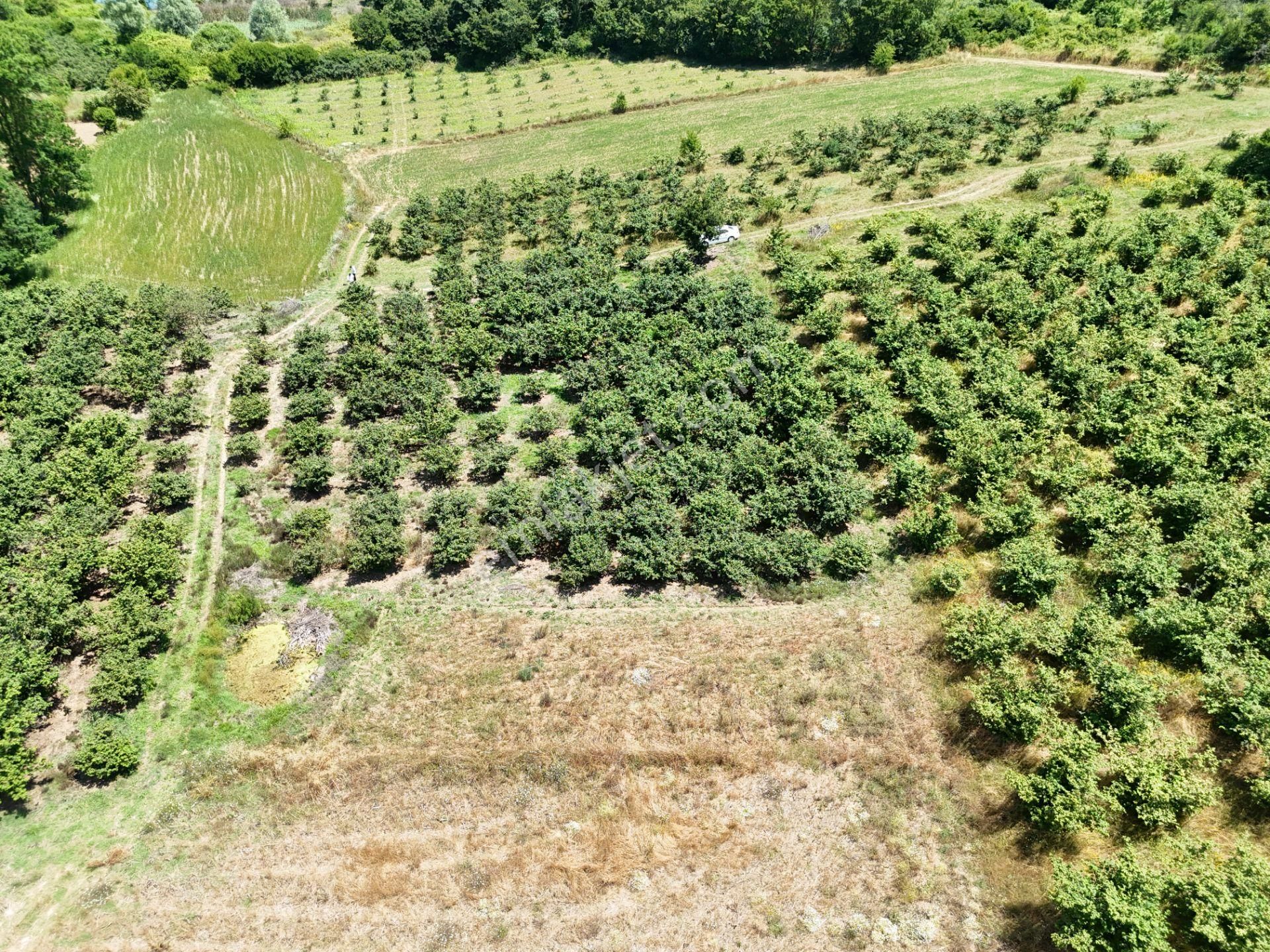 Emlak Evim - Kayacık Köyünün Yanında 350 M2 Tarla - Görsel 17